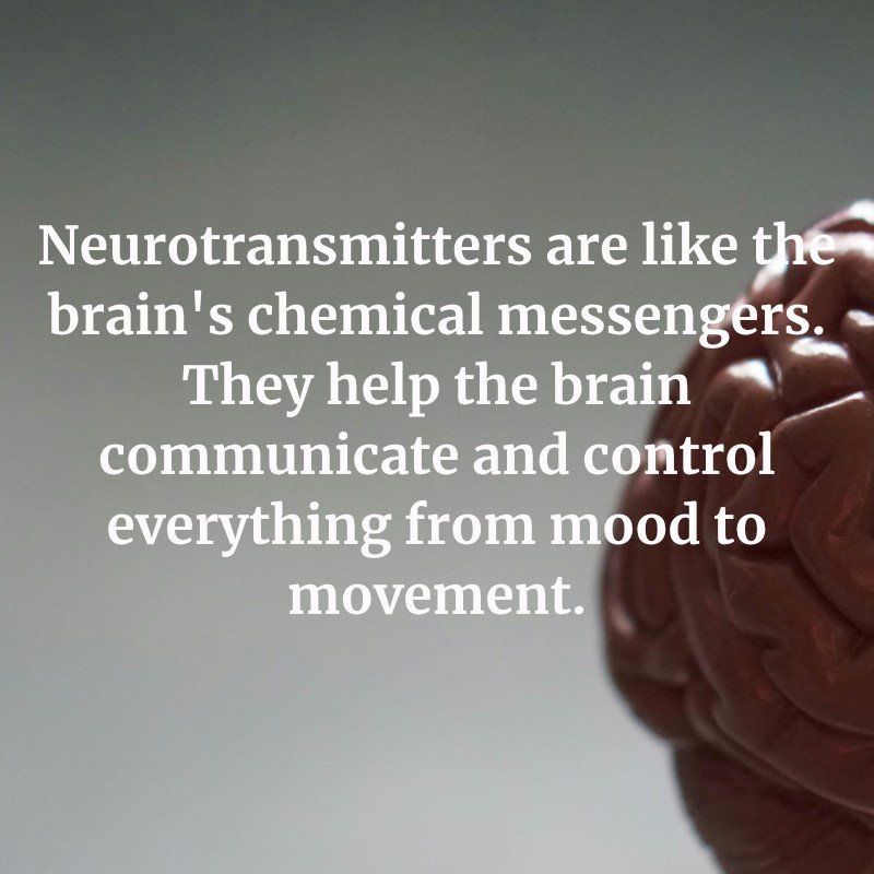 Neurotransmitters are like the brain's chemical messengers. They help the brain communicate and control everything from mood to movement.